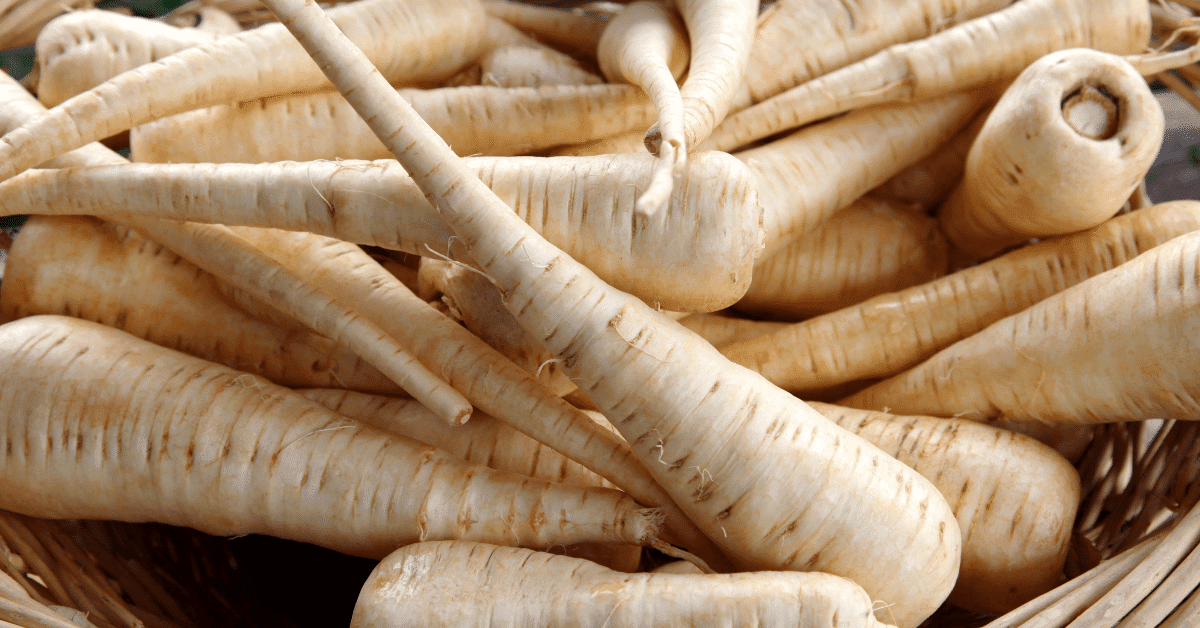 7 Best Daikon Radish Substitutes You Need To Try